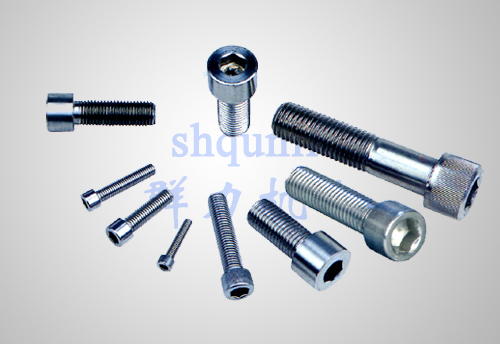 不锈钢内六角螺钉系列Stainless steel inner hexagon screw series