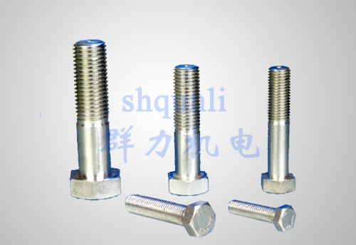 不锈钢螺栓系列Stainless steel bolt series