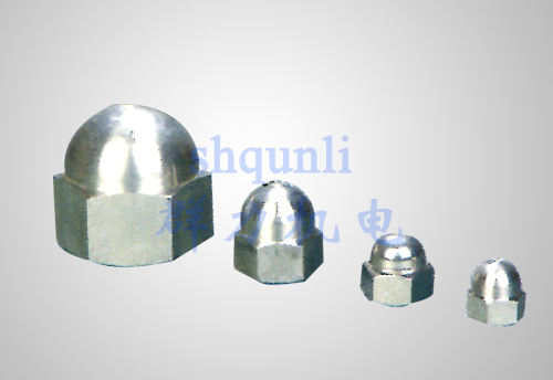 螺帽系列Nuts